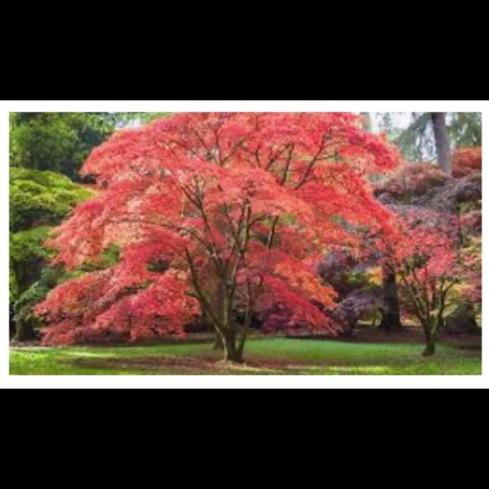 Meet your Posher, Bee